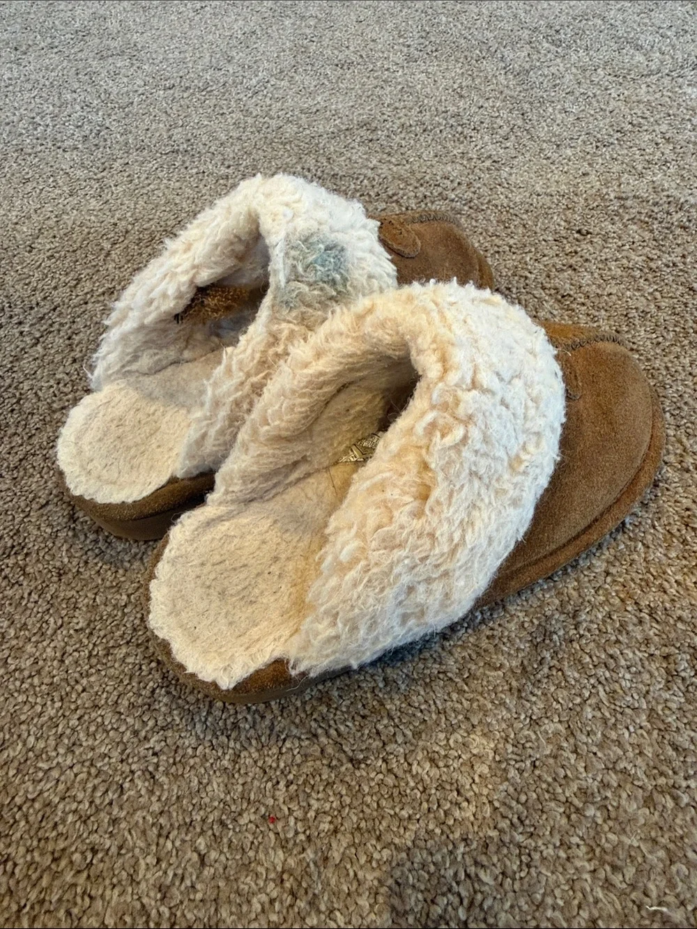 BearPaw | Slippers with Cream Shearling Cuff